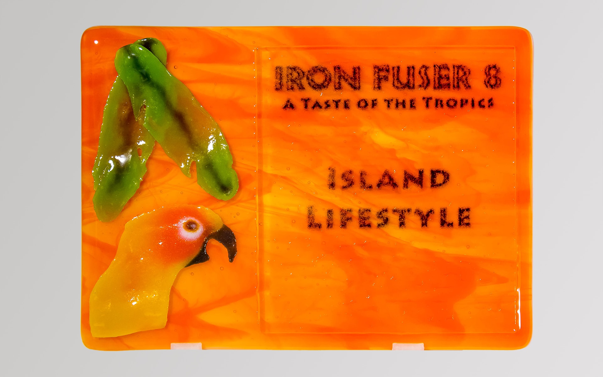 Iron Fuser 8 — A Taste of the Tropics Island Lifestyle award